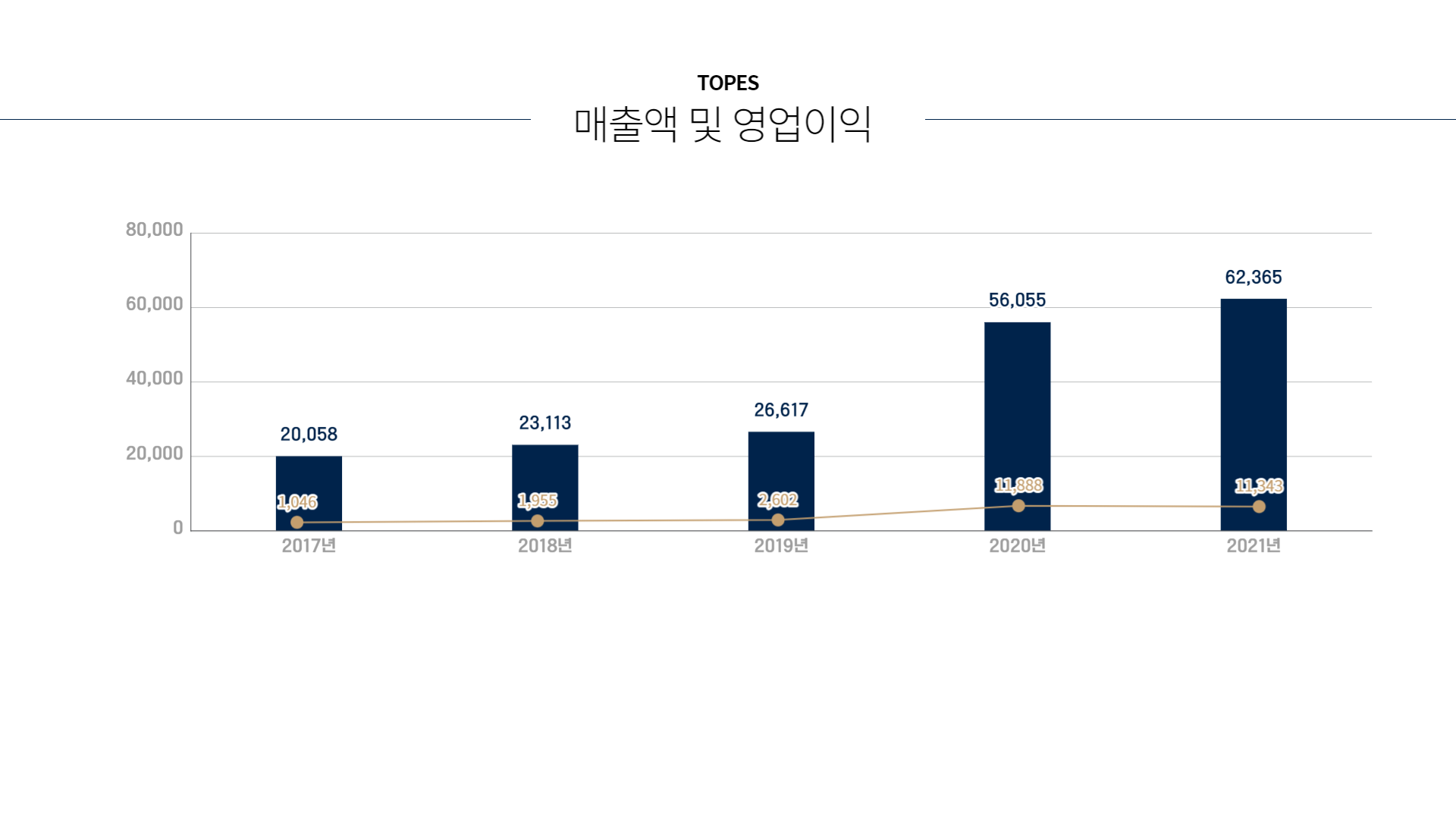 매출액 2